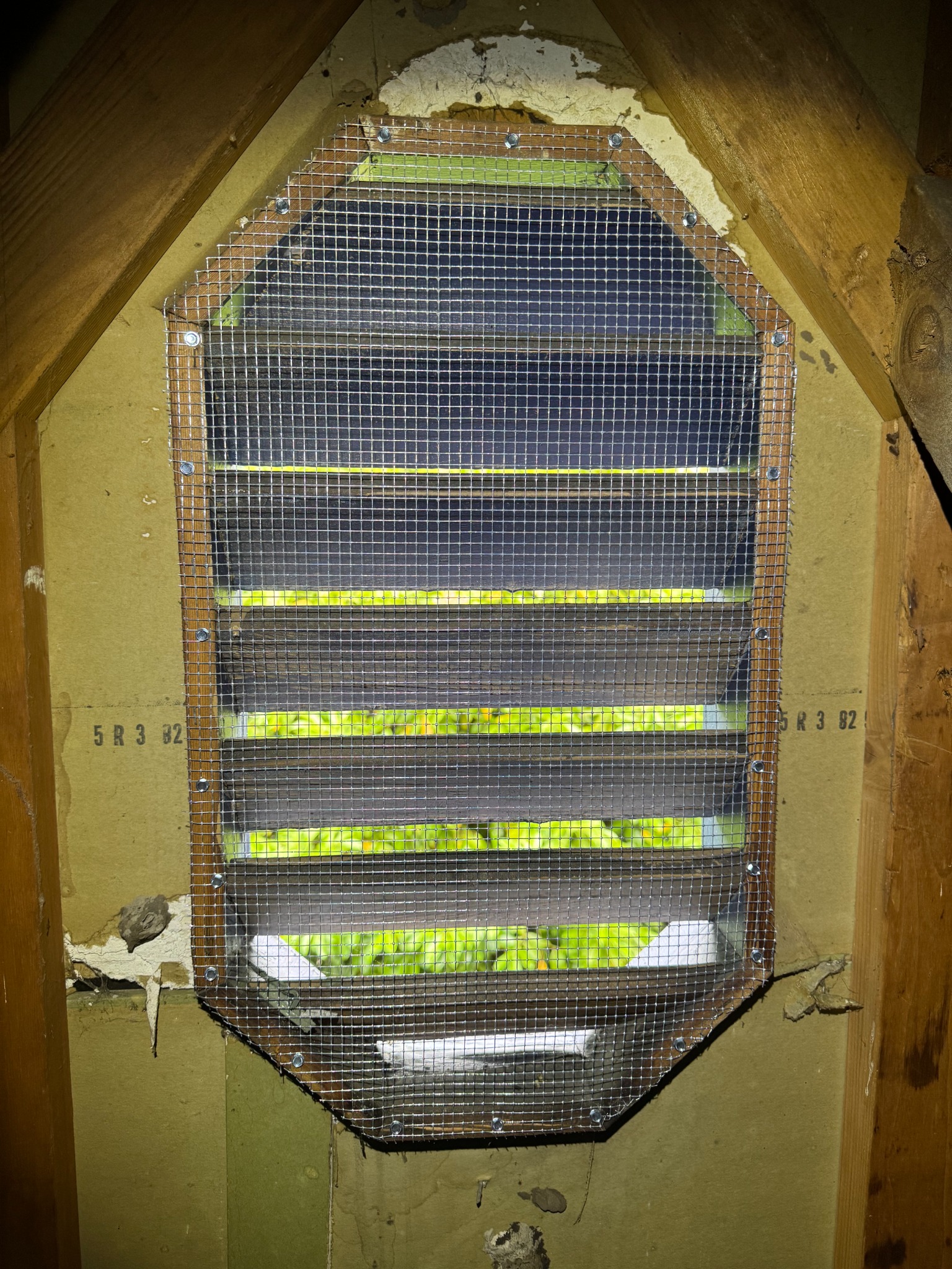 Rodent exclusion mesh installed around a vent